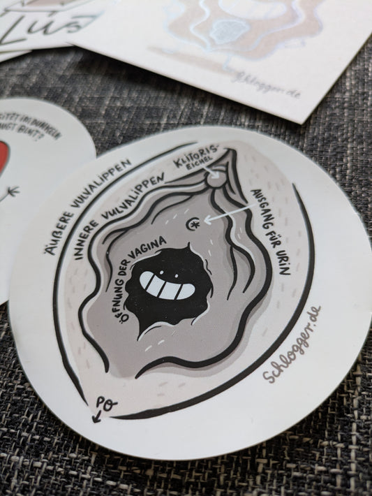 Set "Scham mit Charme" Vulva, Penis, Klitoris, Jungfernhäutchen & mehr