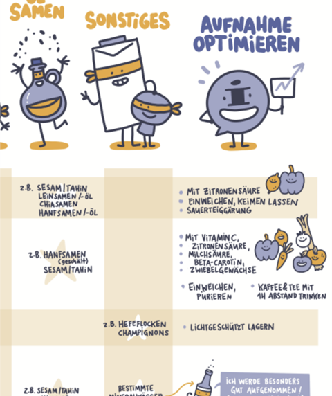 "Pflanzliche Ernährung - Kritische Nährstoffe" DIN A0, PDF