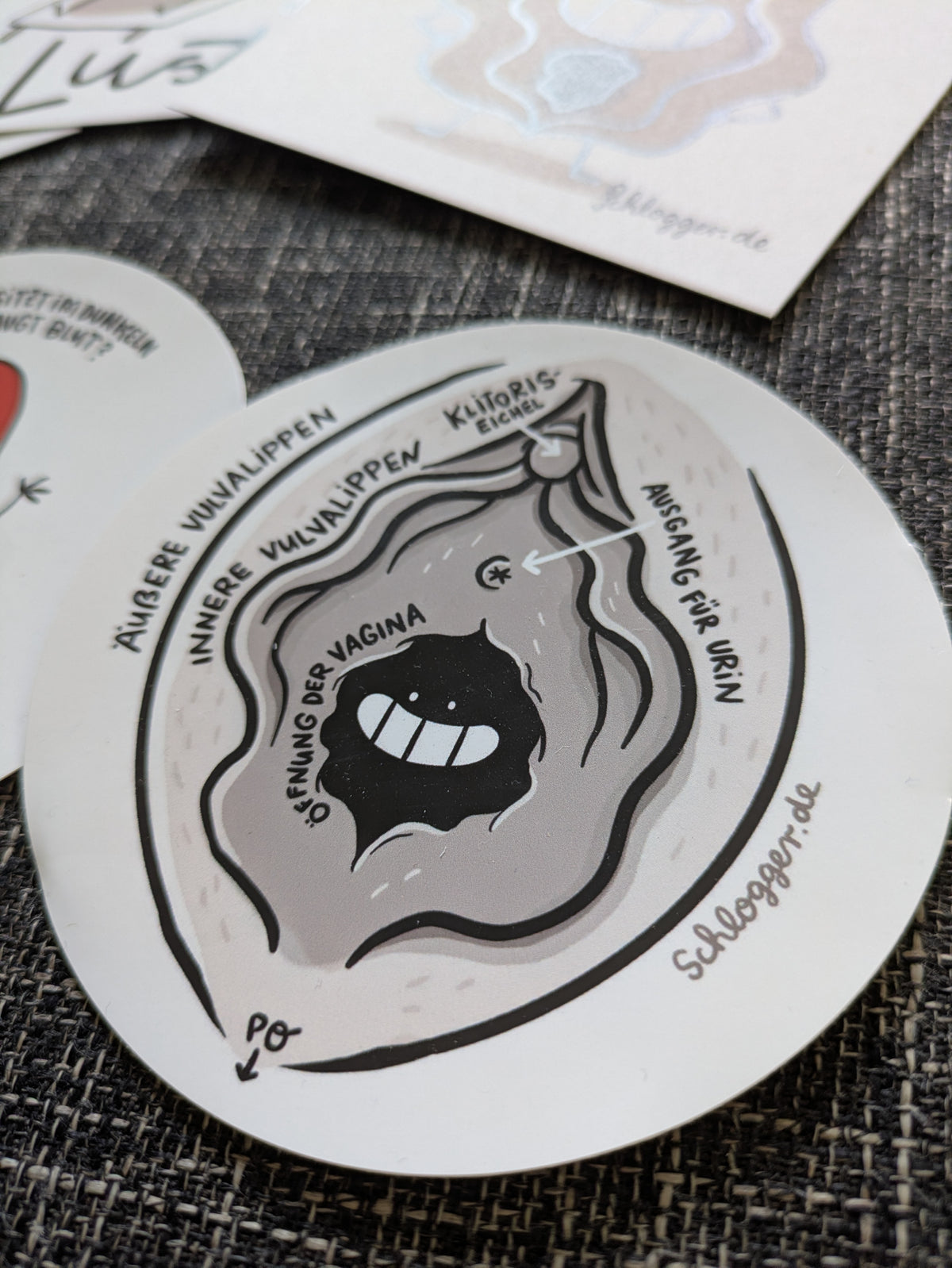 Set "Scham mit Charme" Vulva, Penis, Klitoris, Jungfernhäutchen & mehr