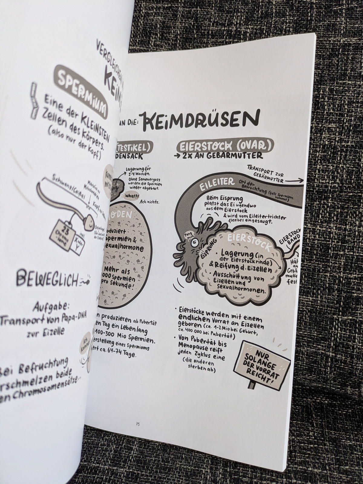 Buch "Scham mit Charme" Aufklärung mit Bildern und Humor