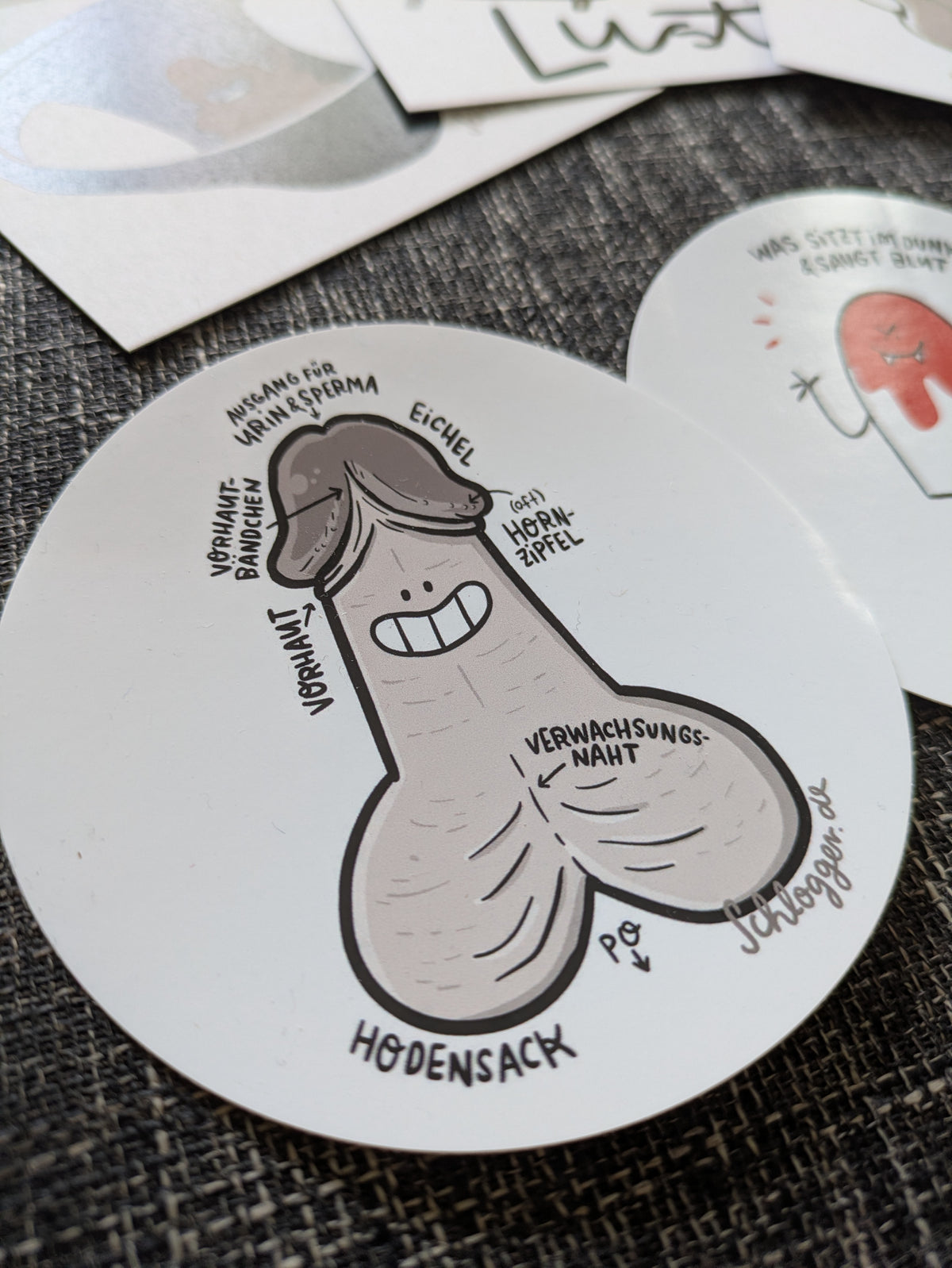 Set "Scham mit Charme" Vulva, Penis, Klitoris, Jungfernhäutchen & mehr
